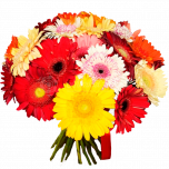 Букет "Веселая палитра"